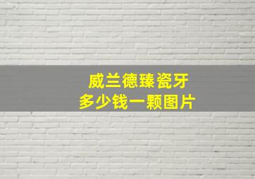 威兰德臻瓷牙多少钱一颗图片