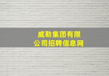 威勒集团有限公司招聘信息网