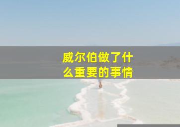 威尔伯做了什么重要的事情