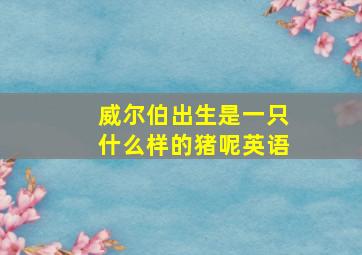 威尔伯出生是一只什么样的猪呢英语