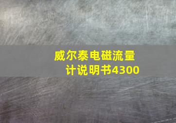 威尔泰电磁流量计说明书4300