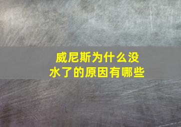 威尼斯为什么没水了的原因有哪些