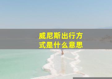 威尼斯出行方式是什么意思