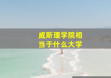 威斯理学院相当于什么大学