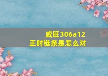 威旺306a12正时链条是怎么对