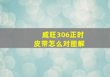 威旺306正时皮带怎么对图解