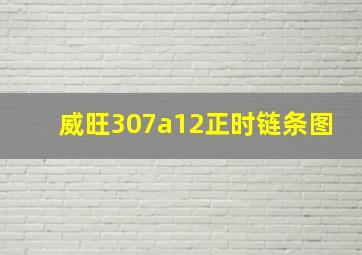 威旺307a12正时链条图