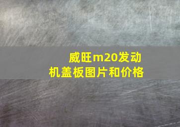 威旺m20发动机盖板图片和价格