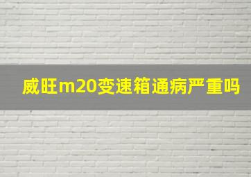 威旺m20变速箱通病严重吗