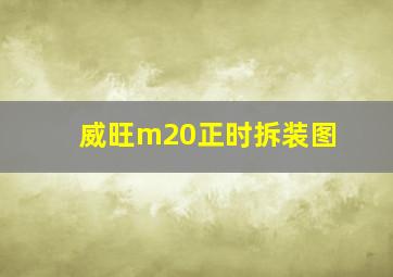 威旺m20正时拆装图