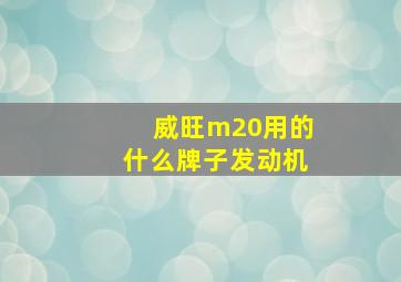 威旺m20用的什么牌子发动机