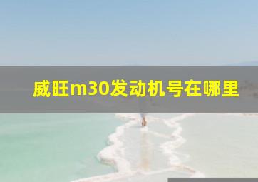 威旺m30发动机号在哪里