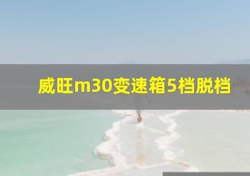 威旺m30变速箱5档脱档