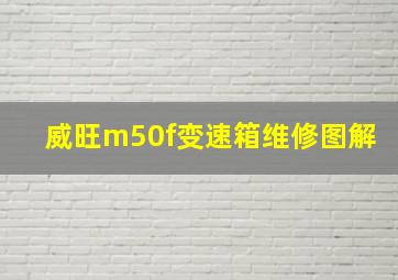 威旺m50f变速箱维修图解