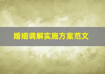 婚姻调解实施方案范文