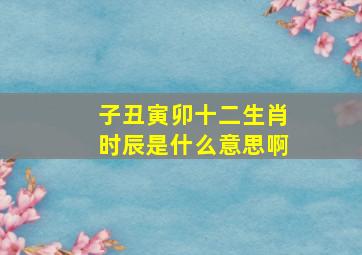 子丑寅卯十二生肖时辰是什么意思啊