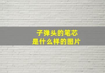 子弹头的笔芯是什么样的图片