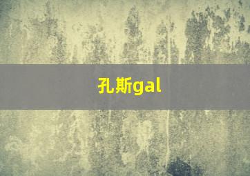 孔斯gal