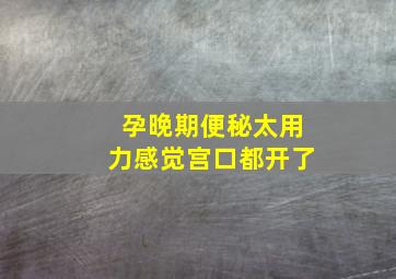 孕晚期便秘太用力感觉宫口都开了