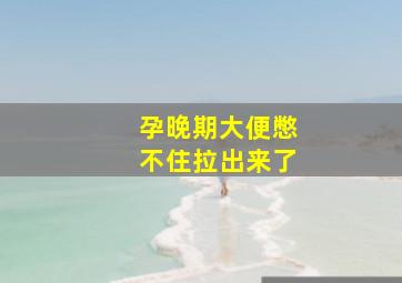 孕晚期大便憋不住拉出来了