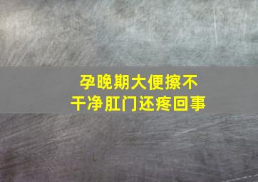 孕晚期大便擦不干净肛门还疼回事