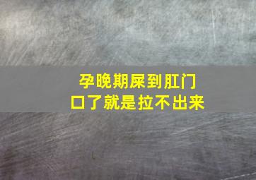 孕晚期屎到肛门口了就是拉不出来