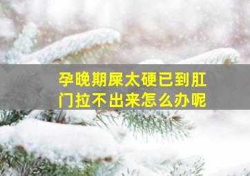 孕晚期屎太硬已到肛门拉不出来怎么办呢