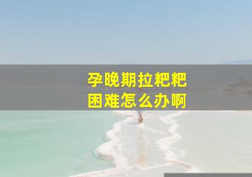 孕晚期拉粑粑困难怎么办啊