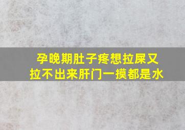 孕晚期肚子疼想拉屎又拉不出来肝门一摸都是水