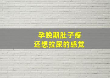 孕晚期肚子疼还想拉屎的感觉