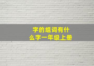 字的组词有什么字一年级上册