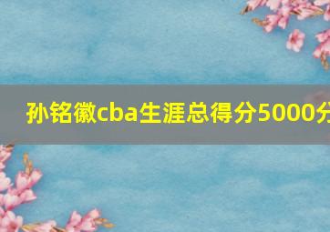 孙铭徽cba生涯总得分5000分