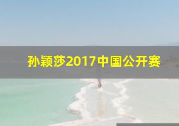 孙颖莎2017中国公开赛