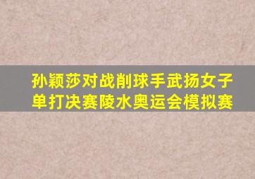 孙颖莎对战削球手武扬女子单打决赛陵水奥运会模拟赛