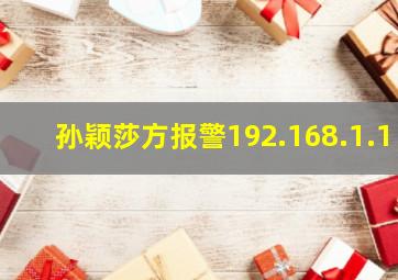 孙颖莎方报警192.168.1.1