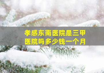 孝感东南医院是三甲医院吗多少钱一个月