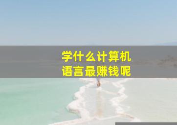 学什么计算机语言最赚钱呢