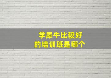 学犀牛比较好的培训班是哪个