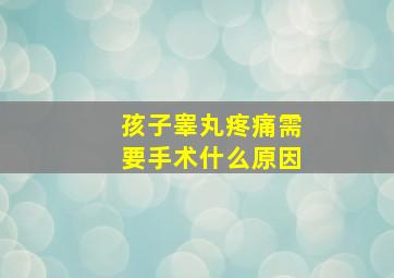 孩子睾丸疼痛需要手术什么原因