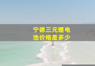 宁德三元锂电池价格是多少