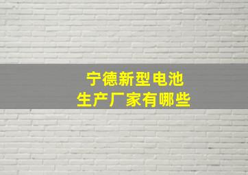 宁德新型电池生产厂家有哪些