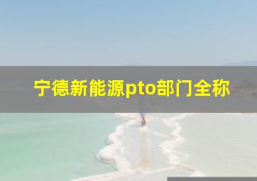 宁德新能源pto部门全称