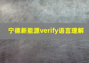 宁德新能源verify语言理解