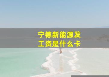 宁德新能源发工资是什么卡