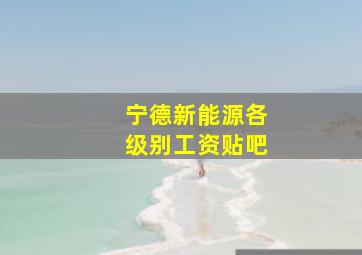 宁德新能源各级别工资贴吧