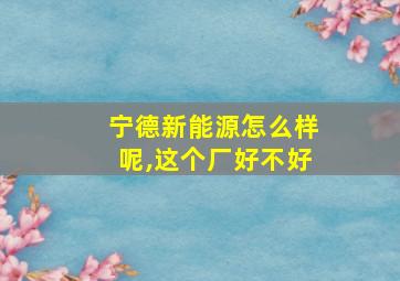 宁德新能源怎么样呢,这个厂好不好