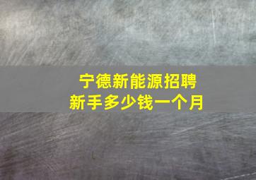 宁德新能源招聘新手多少钱一个月