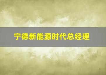 宁德新能源时代总经理