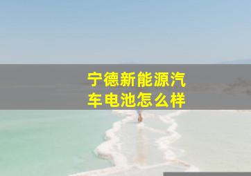 宁德新能源汽车电池怎么样