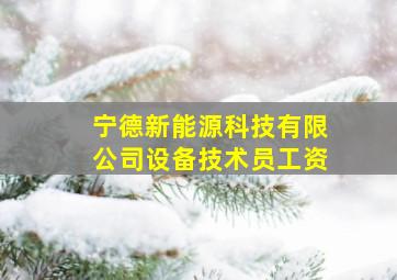 宁德新能源科技有限公司设备技术员工资